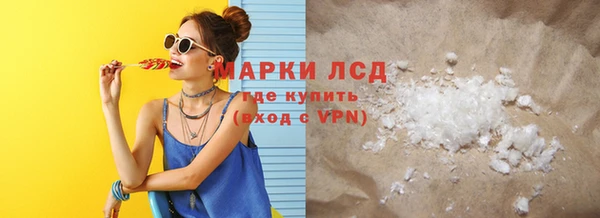 ГАЛЛЮЦИНОГЕННЫЕ ГРИБЫ Сосновый Бор