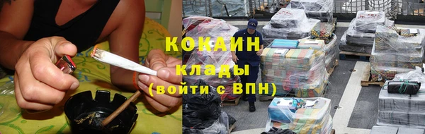 дмт Елизово