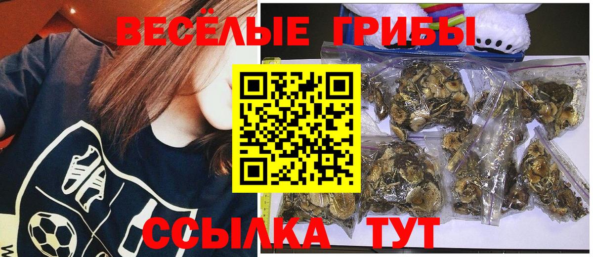 Псилоцибиновые грибы Psilocybe  Псилоцибиновые грибы Psilocybe  Вход с VPN  Прокопьевск 