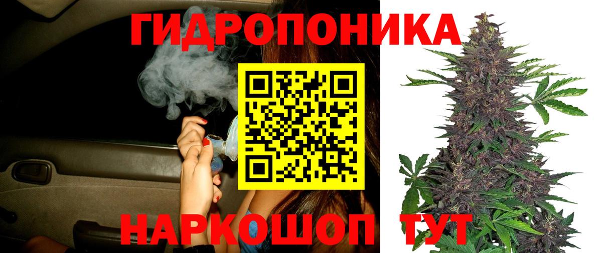 Бошки Шишки Bruce Banner  Вход с VPN  Конопля Amnesia  Прокопьевск  Марихуана марихуана 